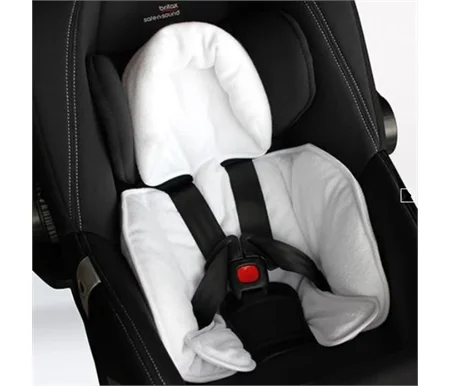 babytrain266765