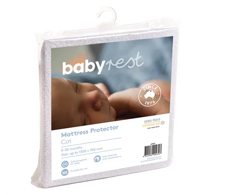 babytrain266789
