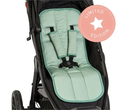 babytrain286681