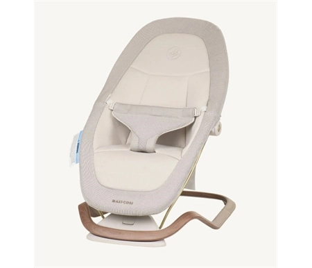 babytrain288005