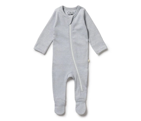 babytrain288029