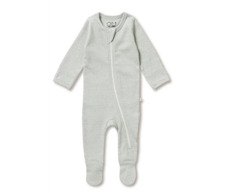 babytrain288048