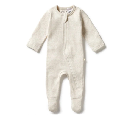 babytrain288171