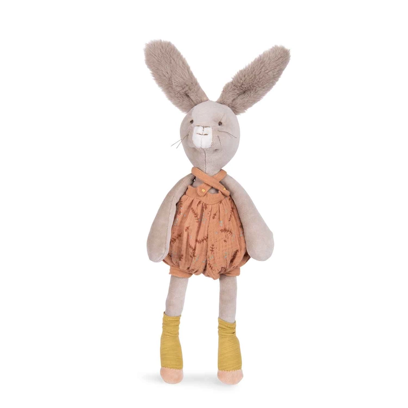 littlesnail300981