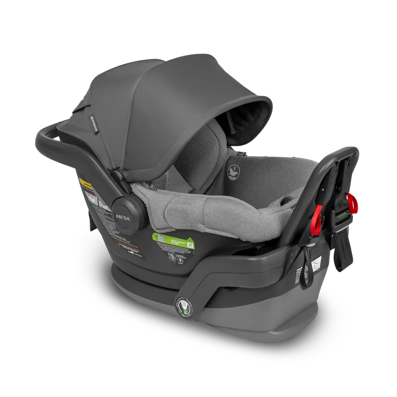 wholebubs345078